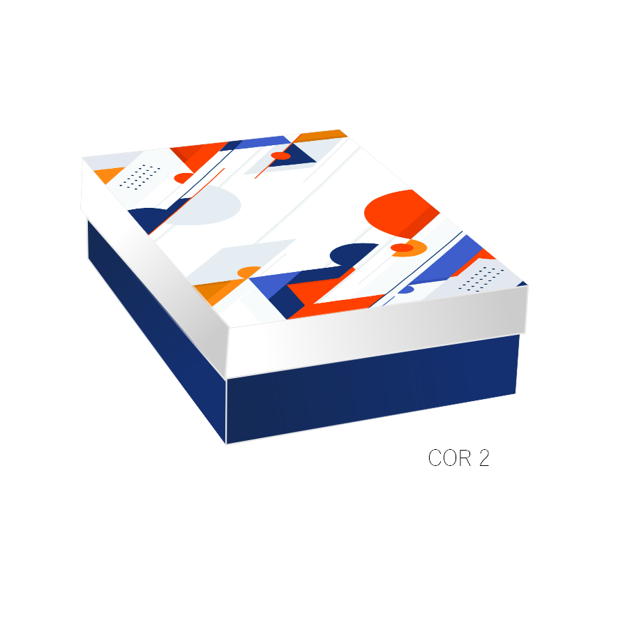 CPR - Caixa presente retangular - Cor 2