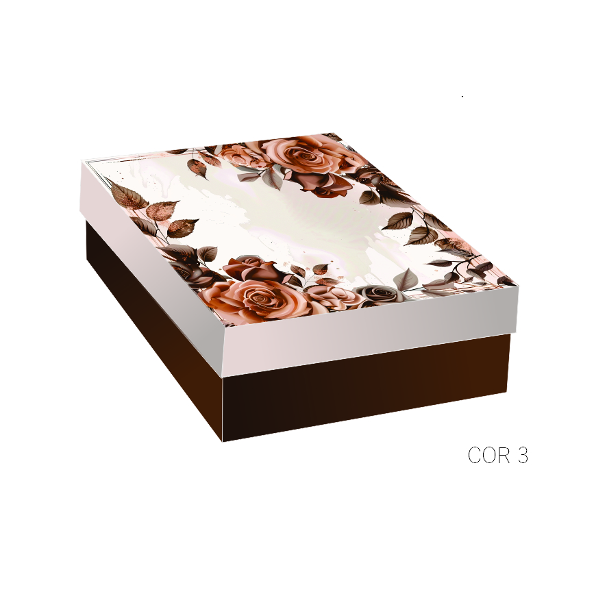 CPR - Caixa presente retangular - Cor 3