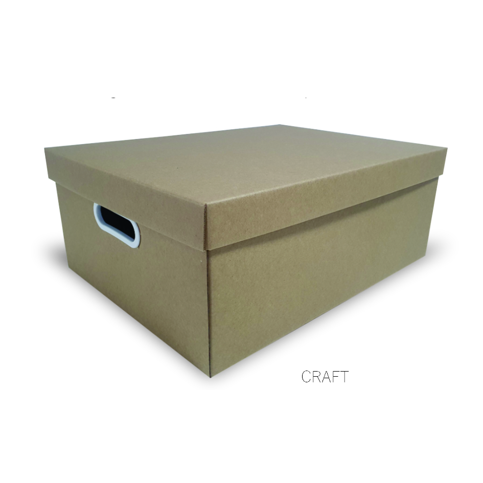 COG - Caixa organizadora Grande - Craft