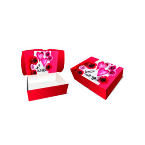 MN38 - Caixa Presente G - Cor 3