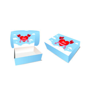 MN38 - Caixa Presente G - Cor 4