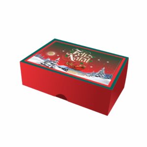 NT24 - Caixa Natal G c/ tampa acoplada - Cor 6