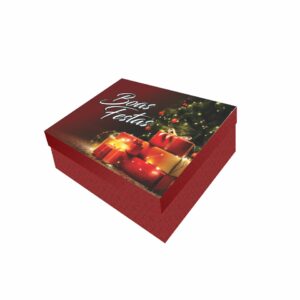 NT25 - Caixa Retangular G - Cor 4