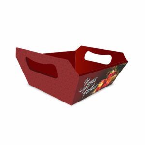 NT4009 - Bandeja G - Cor 4