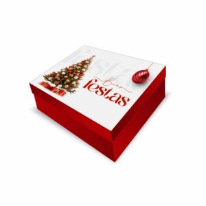 NT25 - Caixa Retangular G - Cor 3