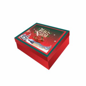 NT25 - Caixa Retangular G - Cor 6