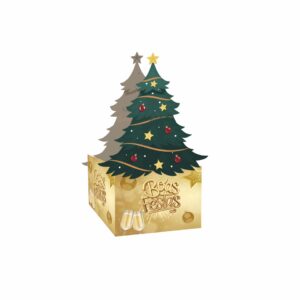 NT10 - Caixa Pinheirinho - Cor 2