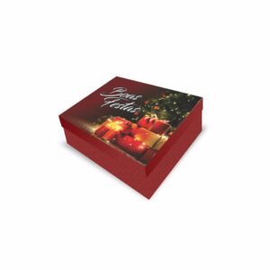 NT27 - Caixa Retangular M - Cor 4