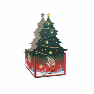 NT10 - Caixa Pinheirinho - Cor 6