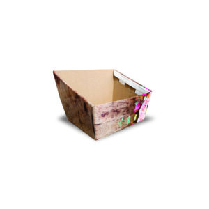 4010 - Bandeja trapézio M - Cor 01